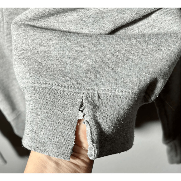 Vintage Champion Urban Outfitters Songbird Gray Hoodie Sz Small Rare - Picture 8 of 11